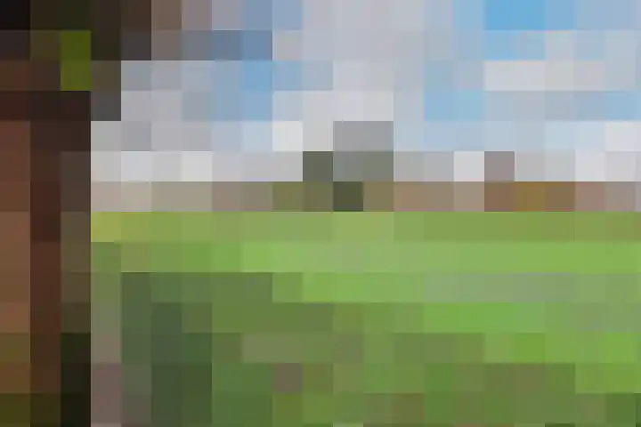 Vardinkhof 8 Winterswijk Kotten thumbnail 55