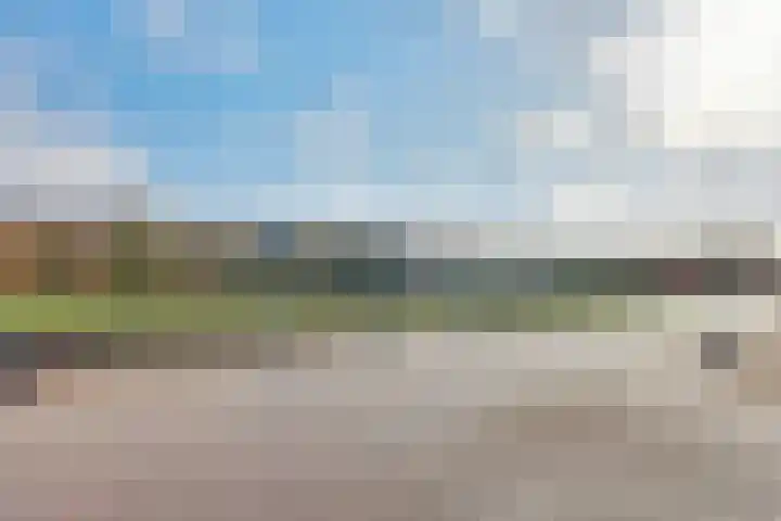 Vardinkhof 8 Winterswijk Kotten thumbnail 56