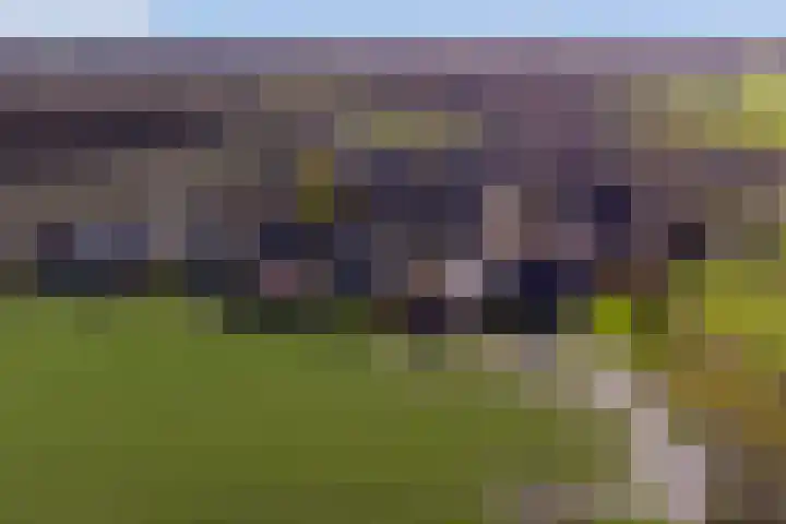 Vardinkhof 8 Winterswijk Kotten thumbnail 59