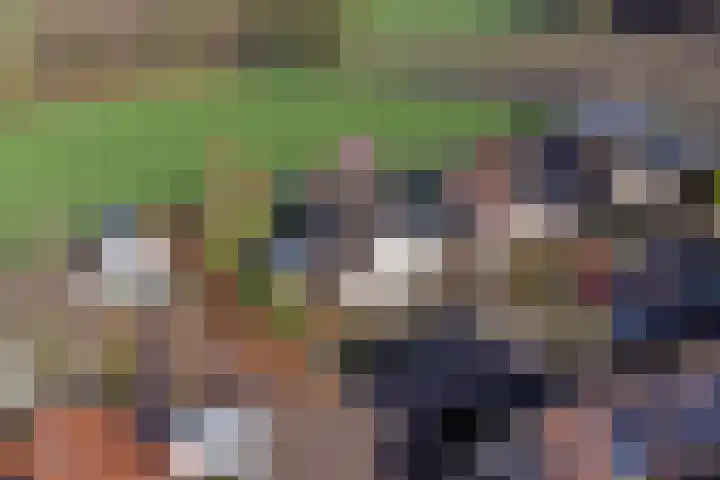 Vardinkhof 8 Winterswijk Kotten thumbnail 63