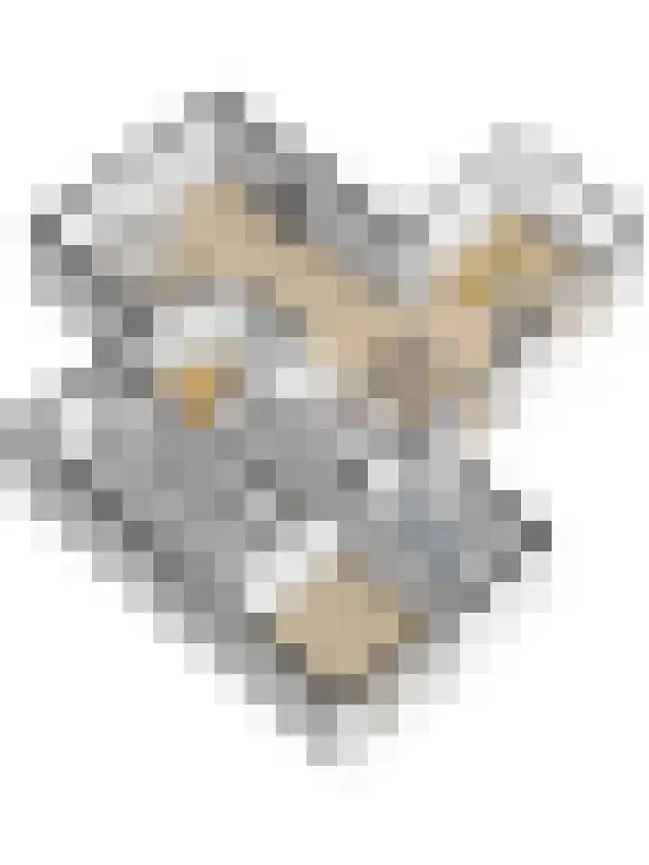 Vardinkhof 8 Winterswijk Kotten thumbnail 65