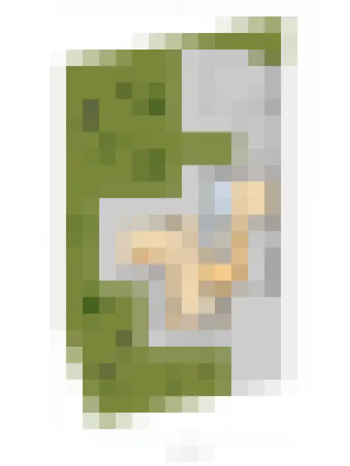 Vardinkhof 8 Winterswijk Kotten thumbnail 66