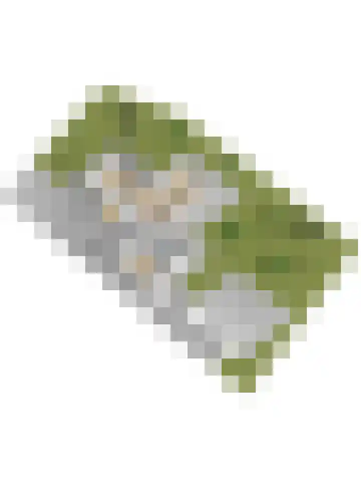 Vardinkhof 8 Winterswijk Kotten thumbnail 67