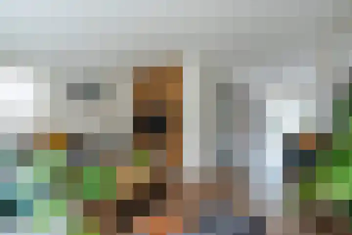 Varelaar 37 Handel thumbnail 11