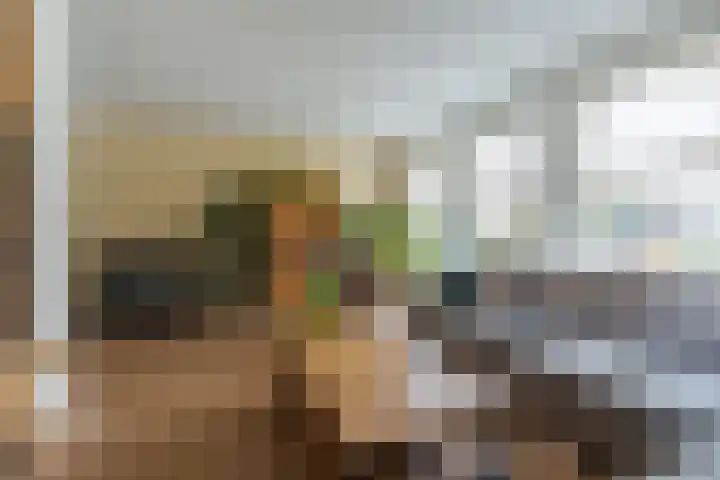 Varelaar 37 Handel thumbnail 12