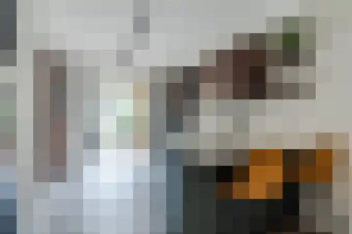 Varelaar 37 Handel thumbnail 13