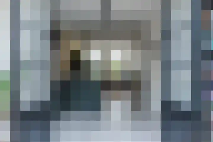 Varelaar 37 Handel thumbnail 24