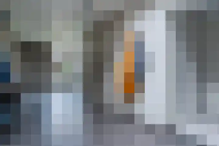 Varelaar 37 Handel thumbnail 26