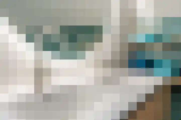 Varelaar 37 Handel thumbnail 35