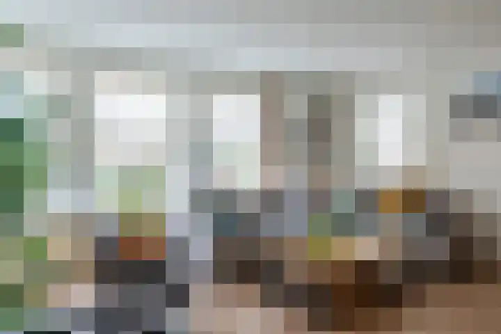 Varelaar 37 Handel thumbnail 4