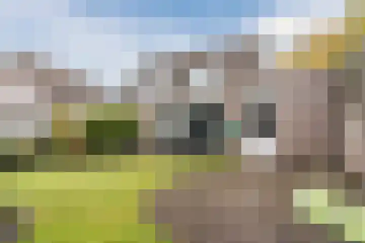 Varelaar 37 Handel thumbnail 40