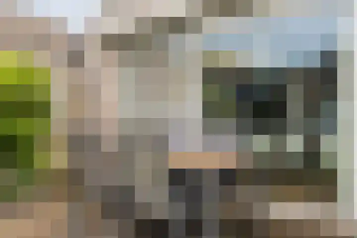 Varelaar 37 Handel thumbnail 41