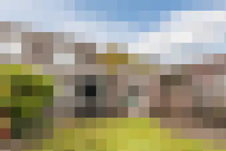 Varelaar 37 Handel thumbnail 42