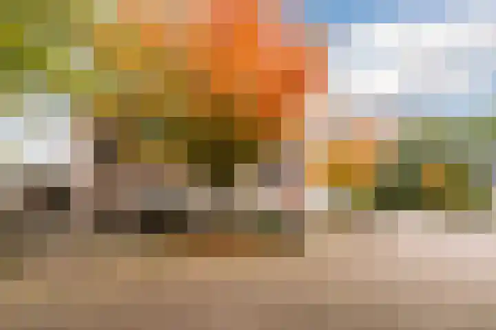 Varelaar 37 Handel thumbnail 46