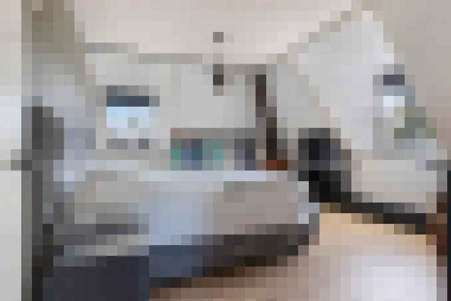 Varelsebeek 6 Biddinghuizen thumbnail 33