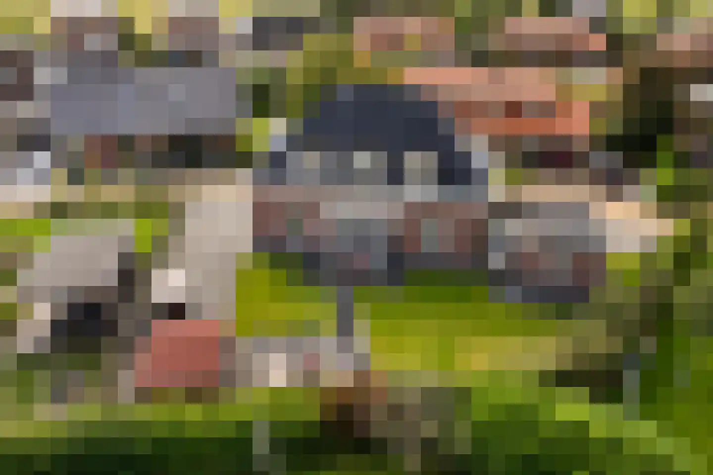 Varelsebeek 6 Biddinghuizen thumbnail 43