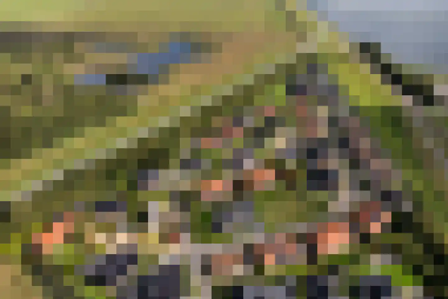 Varelsebeek 6 Biddinghuizen thumbnail 45