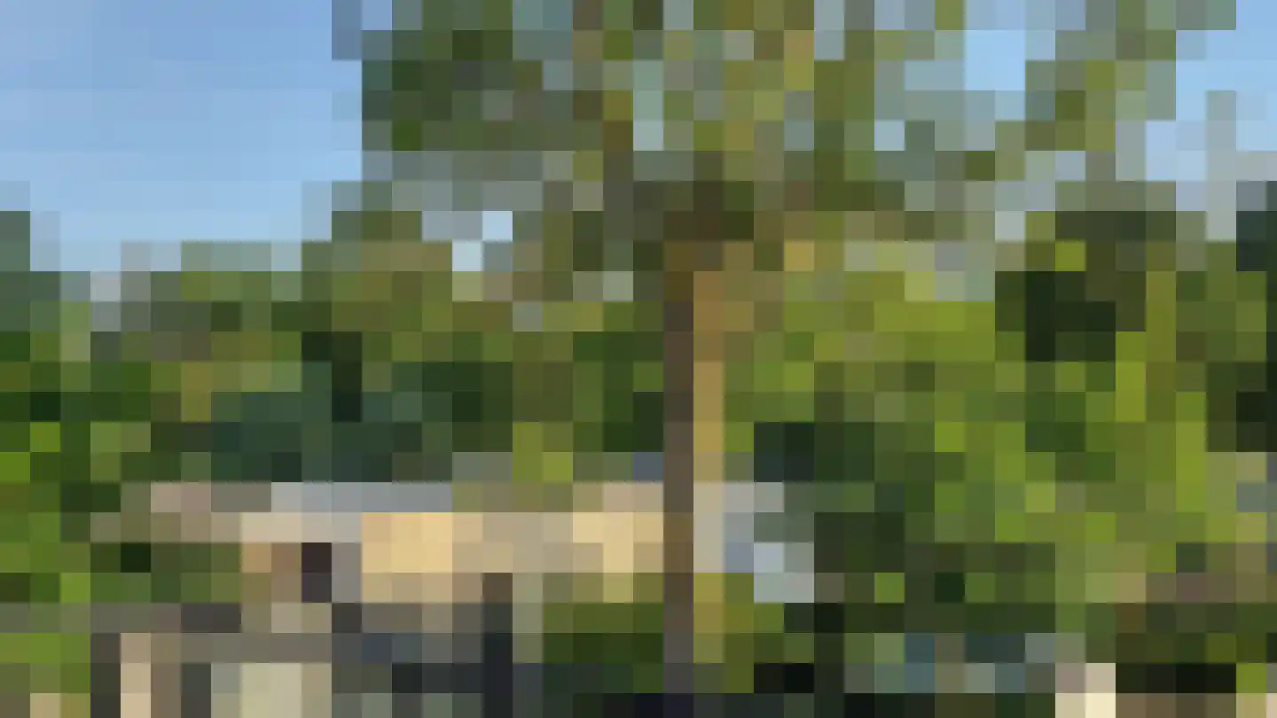 Varelseweg 211 0015 Hulshorst thumbnail 45
