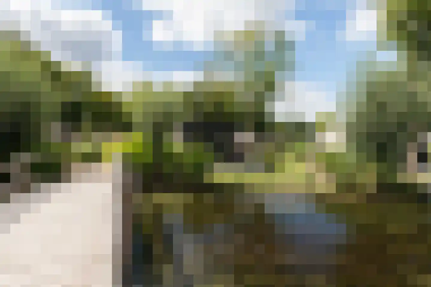 Varelseweg 211 2516 Hulshorst thumbnail 21