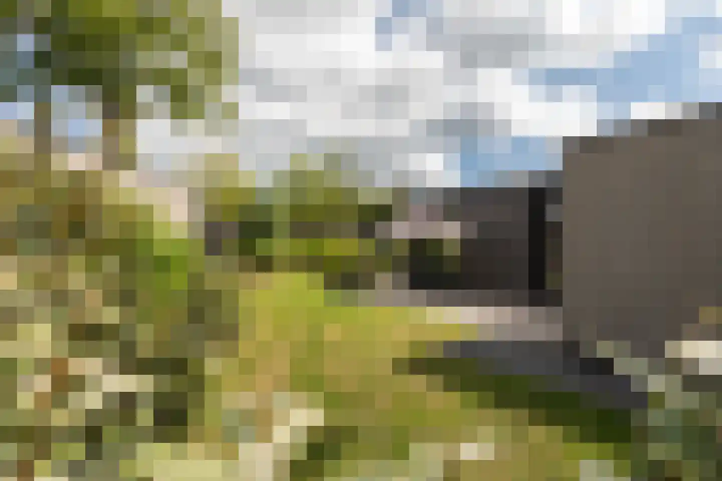 Varelseweg 211 2516 Hulshorst thumbnail 4