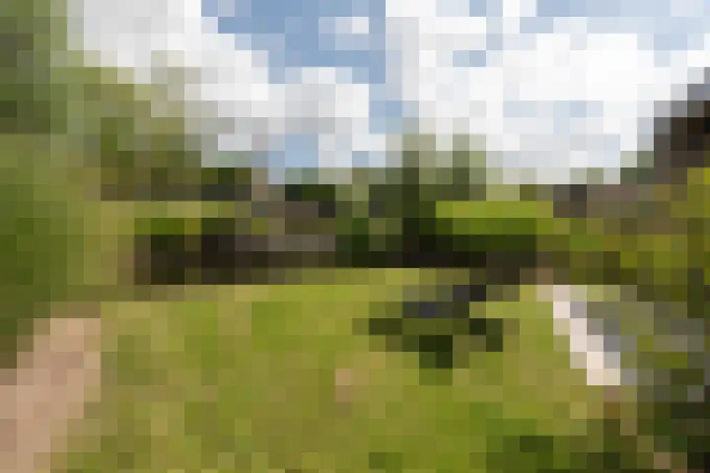 Varelseweg 211 2516 Hulshorst thumbnail 5