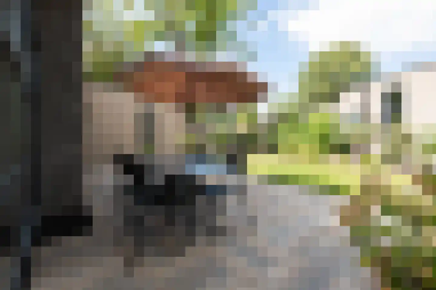 Varelseweg 211 2516 Hulshorst thumbnail 7