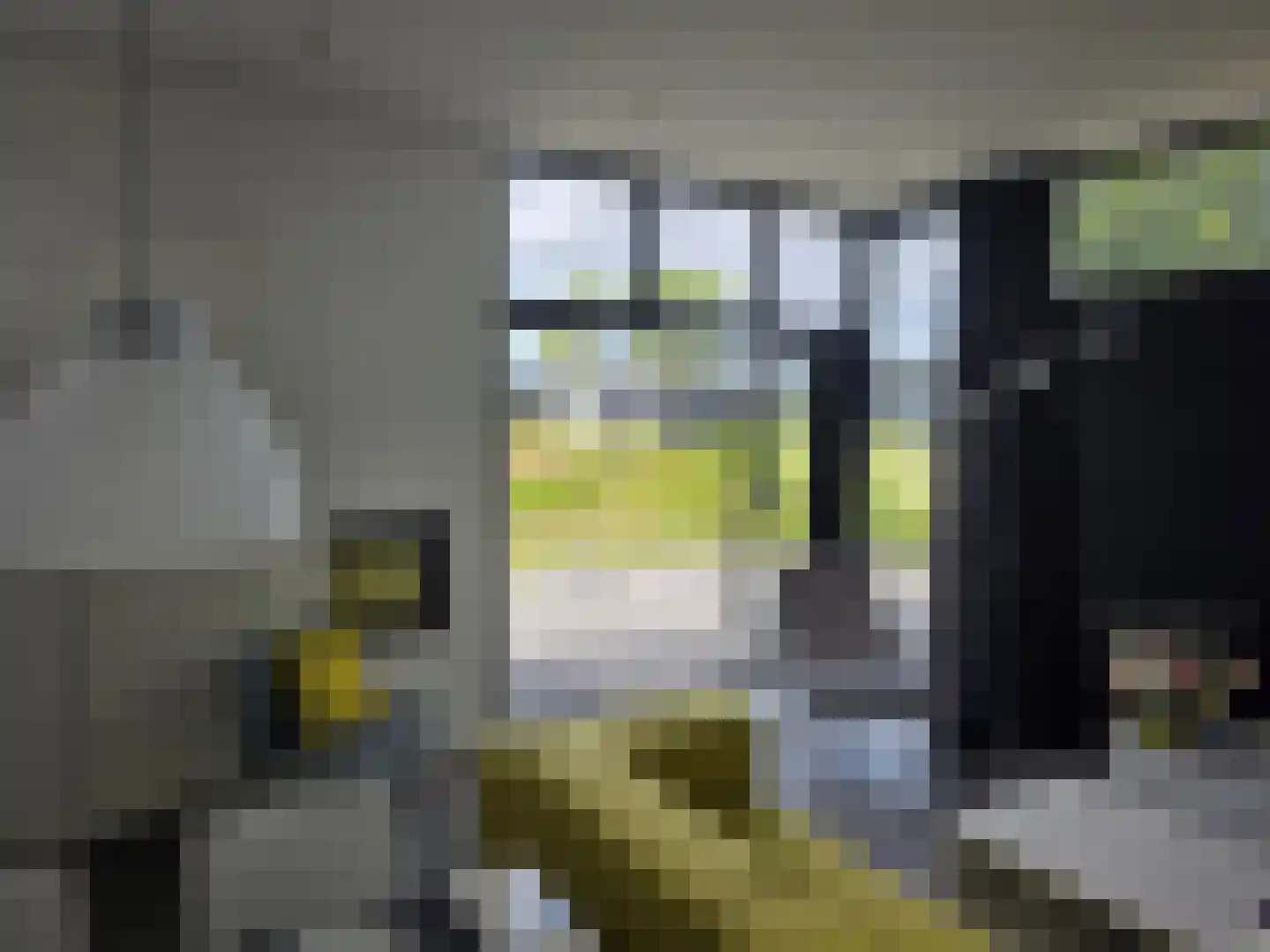 Varelseweg 211 5 Hulshorst thumbnail 10