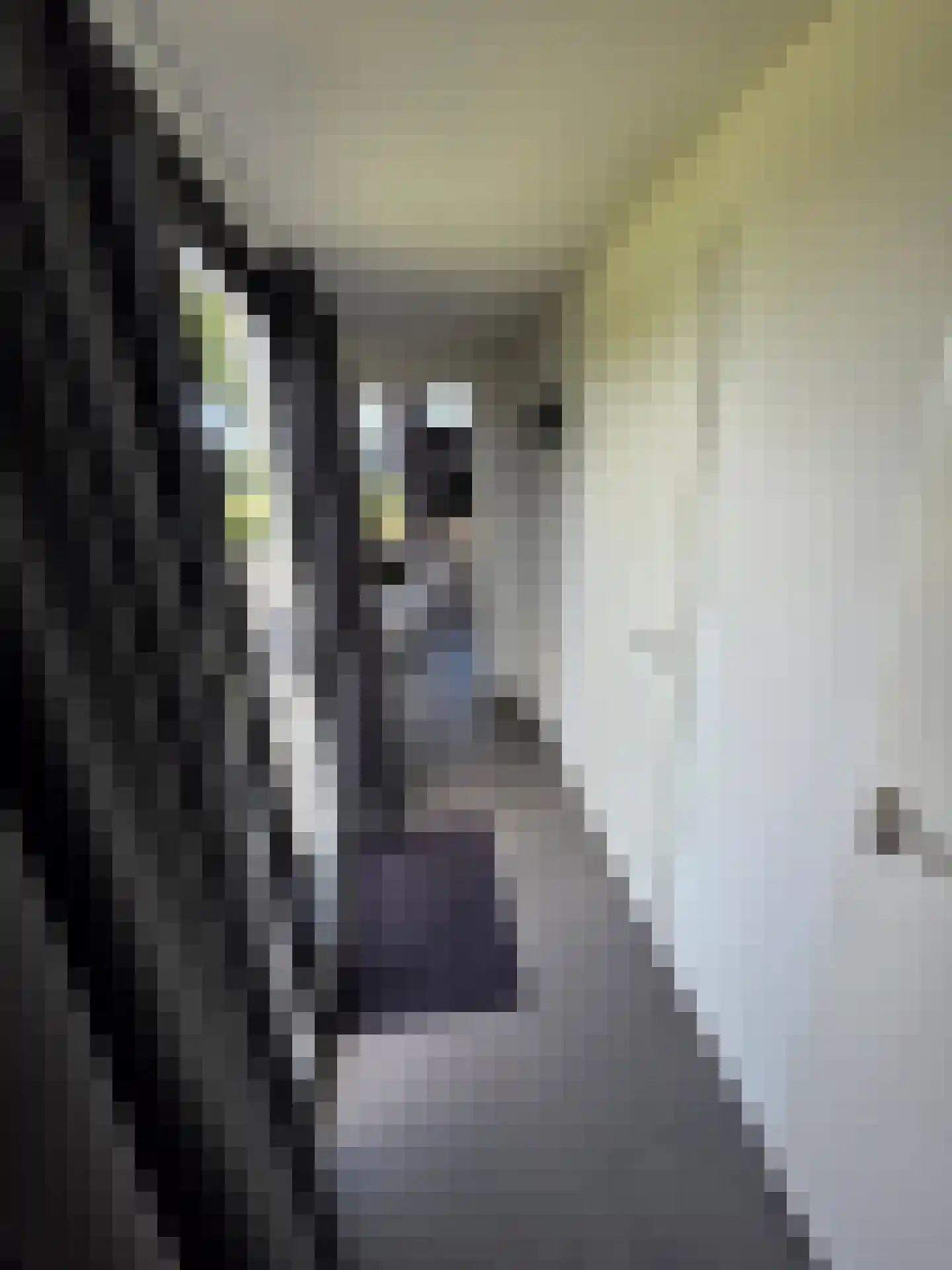 Varelseweg 211 5 Hulshorst thumbnail 13