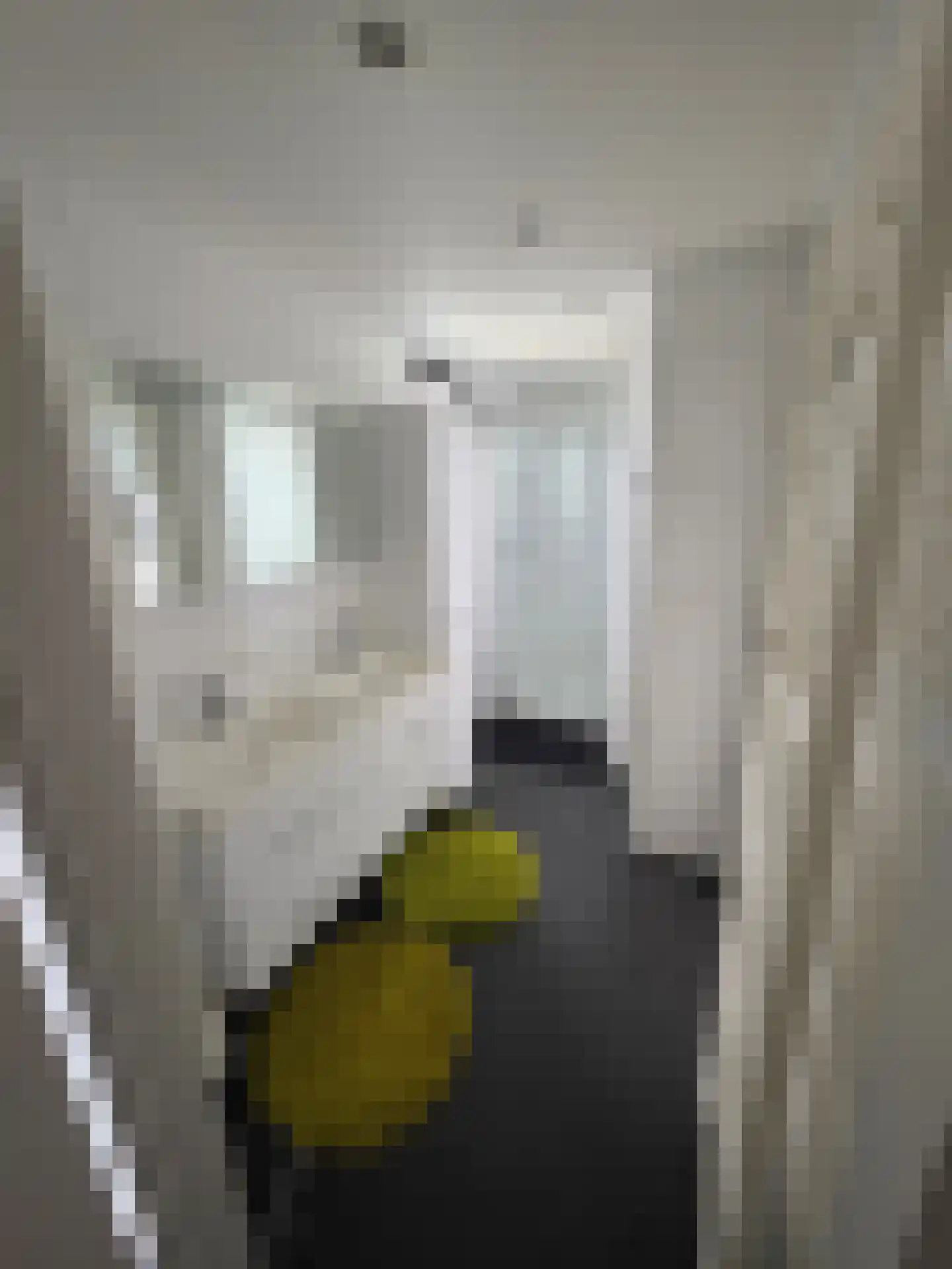 Varelseweg 211 5 Hulshorst thumbnail 20