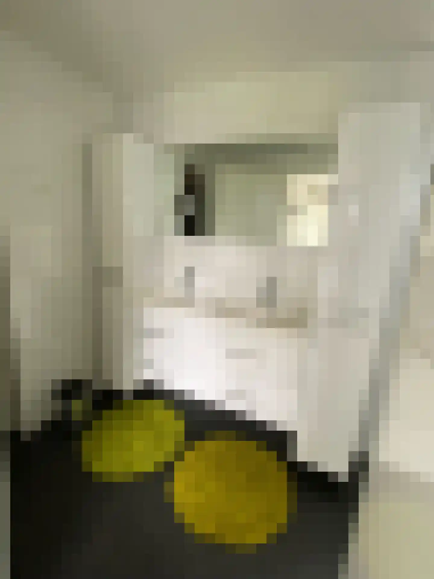 Varelseweg 211 5 Hulshorst thumbnail 21