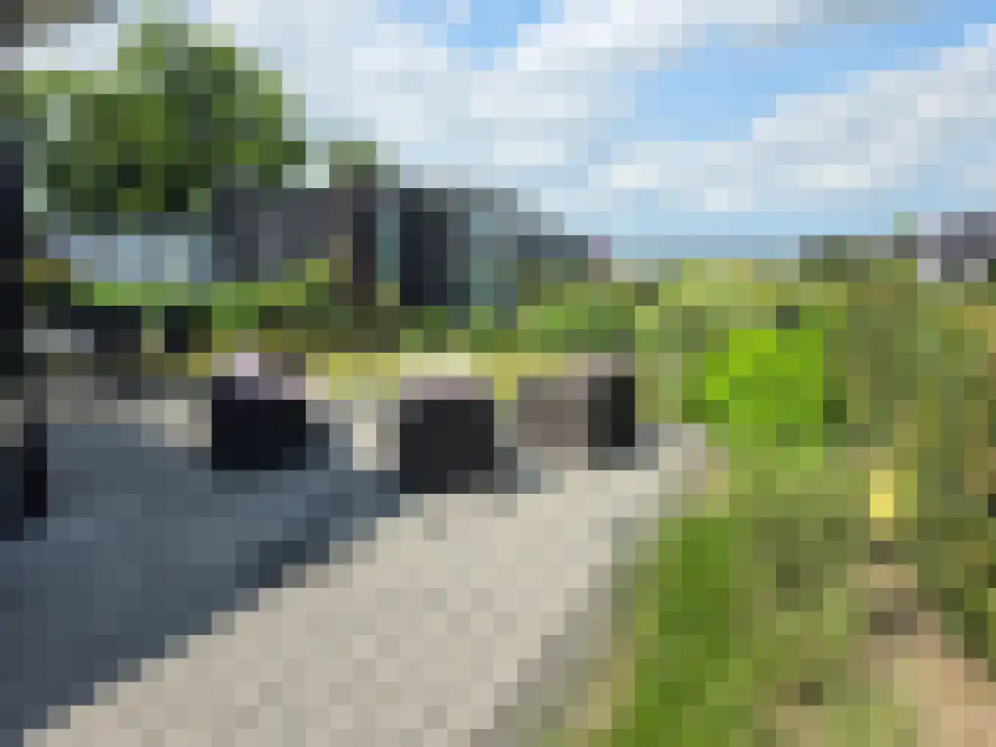 Varelseweg 211 5 Hulshorst thumbnail 33