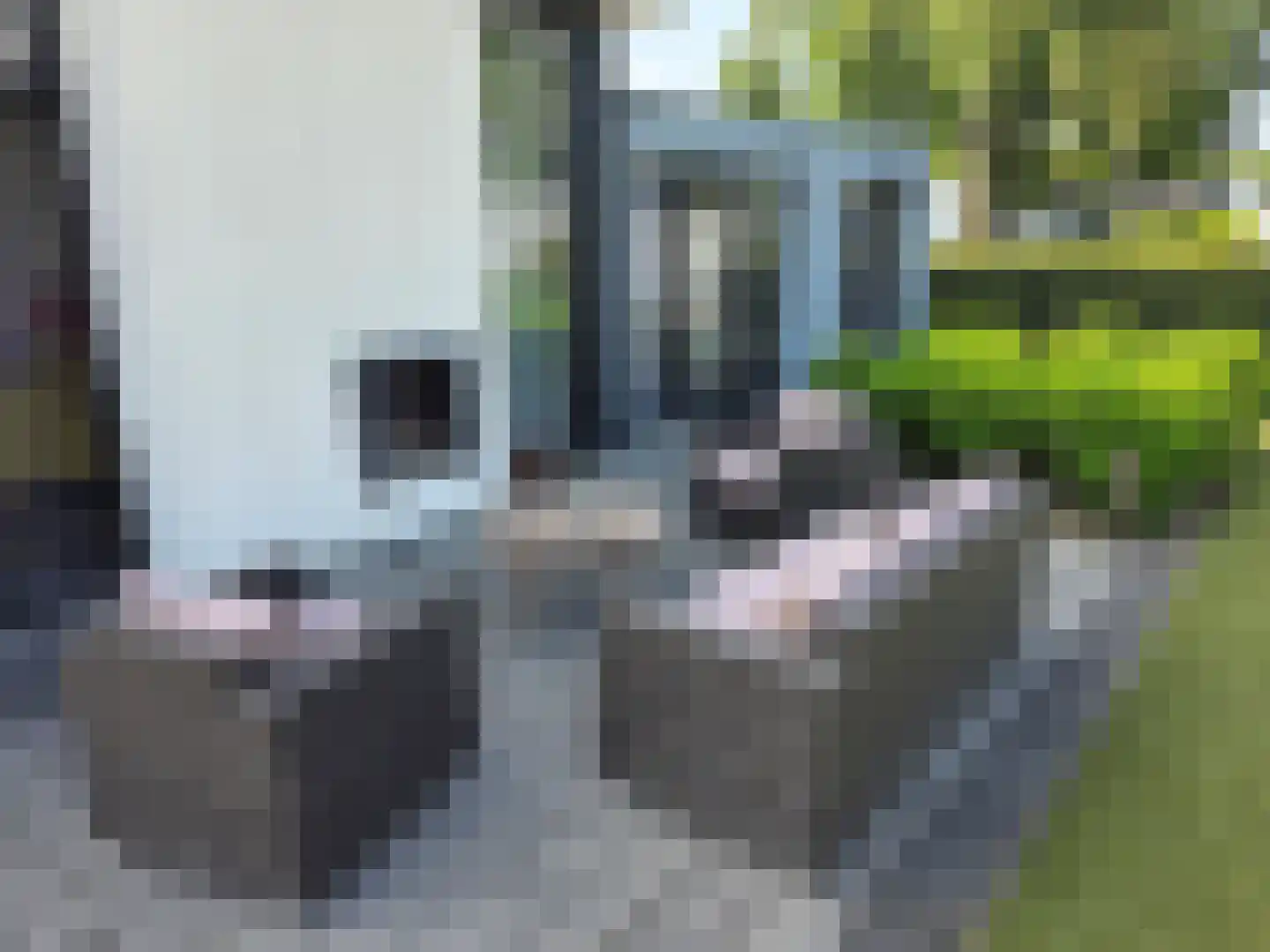 Varelseweg 211 5 Hulshorst thumbnail 36