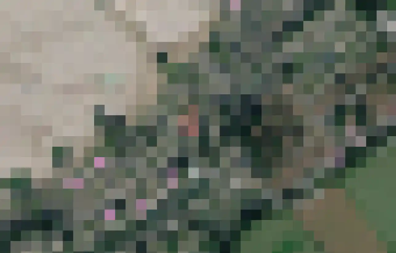 Varelseweg 211 5 Hulshorst thumbnail 69