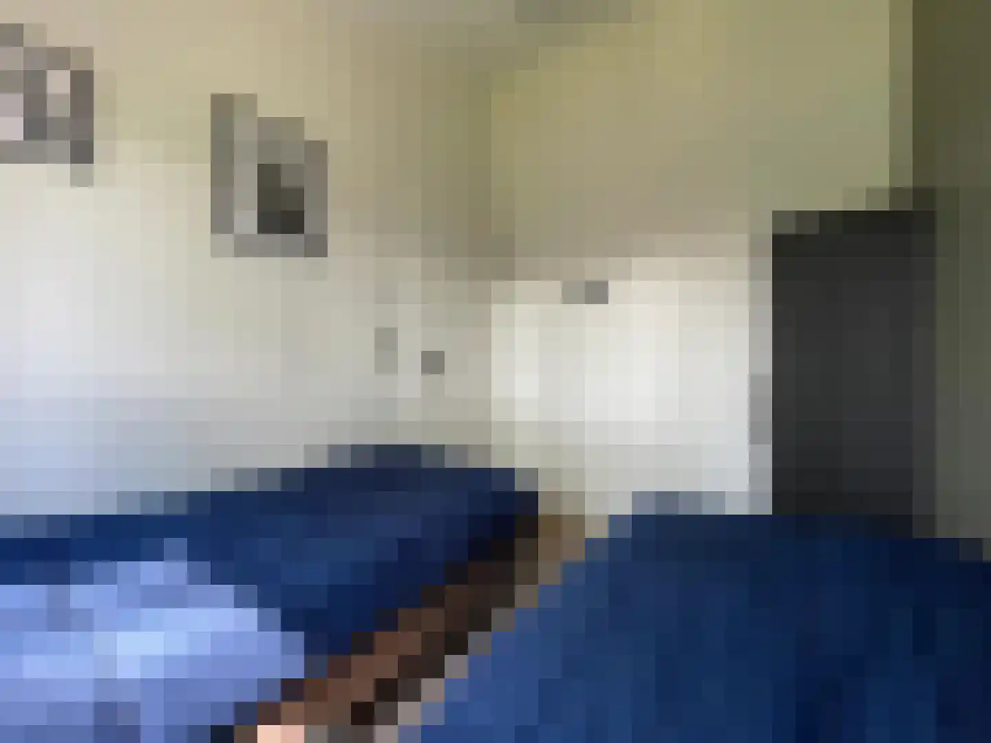 Varelseweg 211 Hulshorst thumbnail 13
