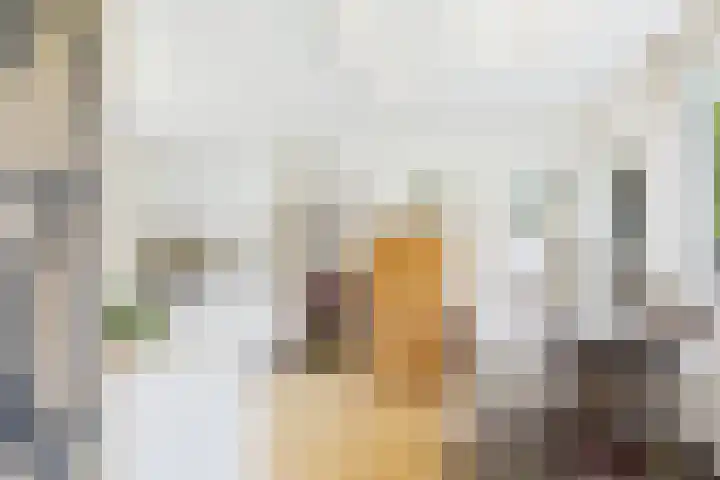 Varempéstraat 5 Overslag thumbnail 11