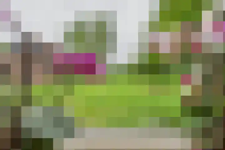 Varempéstraat 5 Overslag thumbnail 12