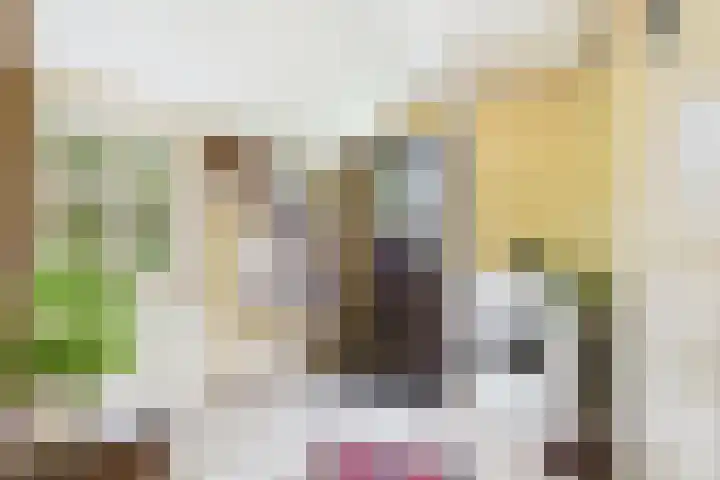 Varempéstraat 5 Overslag thumbnail 13