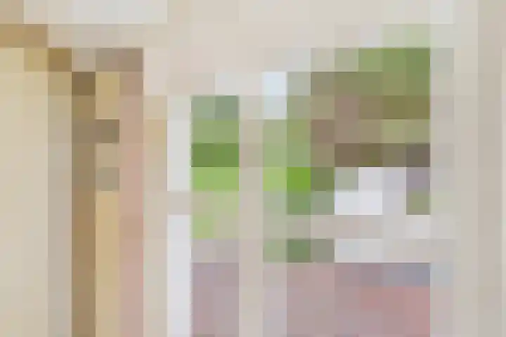 Varempéstraat 5 Overslag thumbnail 16