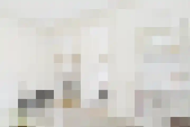 Varempéstraat 5 Overslag thumbnail 17