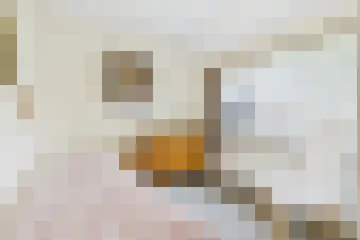 Varempéstraat 5 Overslag thumbnail 19