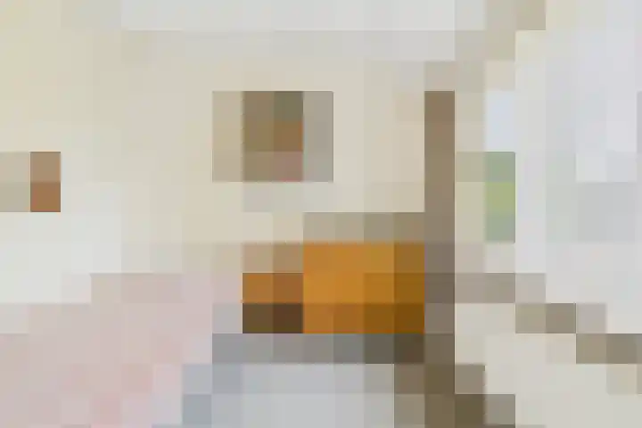Varempéstraat 5 Overslag thumbnail 20