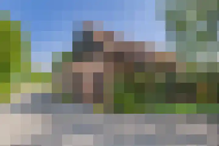 Varempéstraat 5 Overslag thumbnail 25