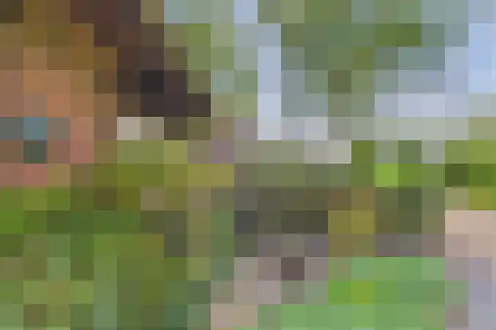 Varempéstraat 5 Overslag thumbnail 26