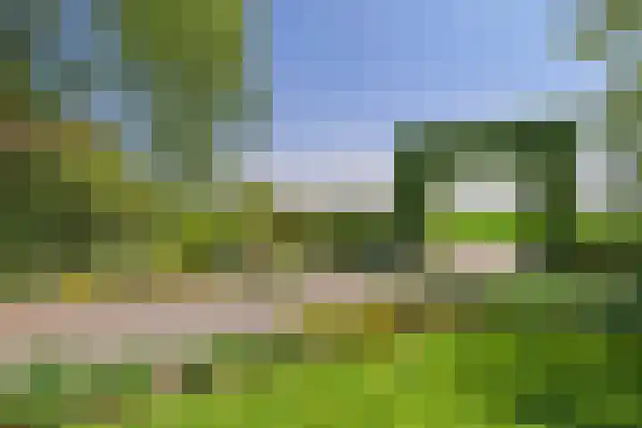 Varempéstraat 5 Overslag thumbnail 29