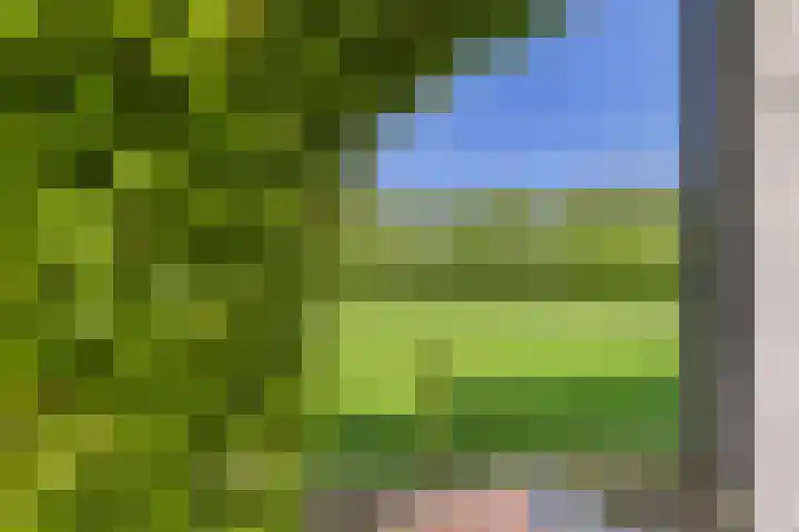 Varempéstraat 5 Overslag thumbnail 31