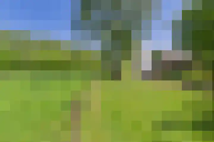 Varempéstraat 5 Overslag thumbnail 32