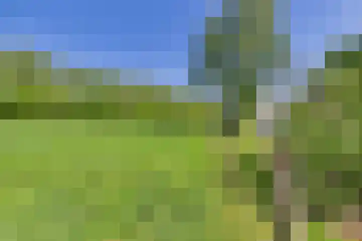 Varempéstraat 5 Overslag thumbnail 33