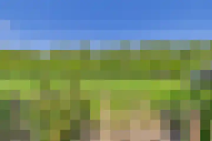 Varempéstraat 5 Overslag thumbnail 37