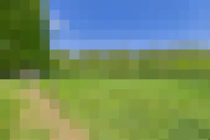 Varempéstraat 5 Overslag thumbnail 4