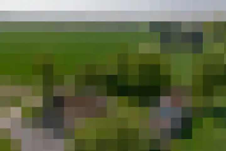 Varempéstraat 5 Overslag thumbnail 41